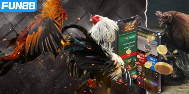 Đá gà Campuchia online mở ra vô số trận kịch tính